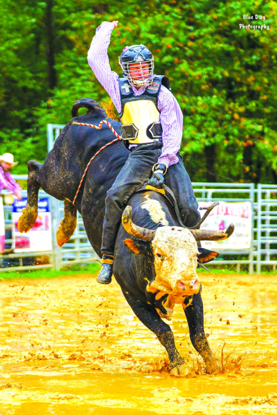 Carnival and community day on tap this weekend - The Sentinel